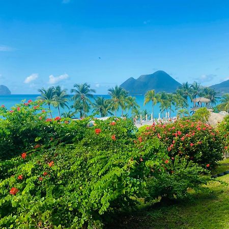 Diadora Au Magnifique Panorama - Studio Neuf De Prestige Vue Mer เลอ ดีอามงต์ ภายนอก รูปภาพ
